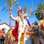 wedding horse in hyderabad