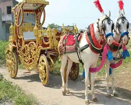 horse bhaggi on rental in vijayawada