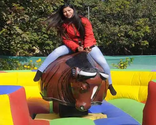 bull ride in visakhapatnam
