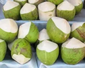 kobbari bonda in rajahmundry