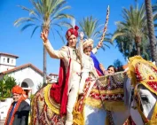 wedding horse in rajahmundry